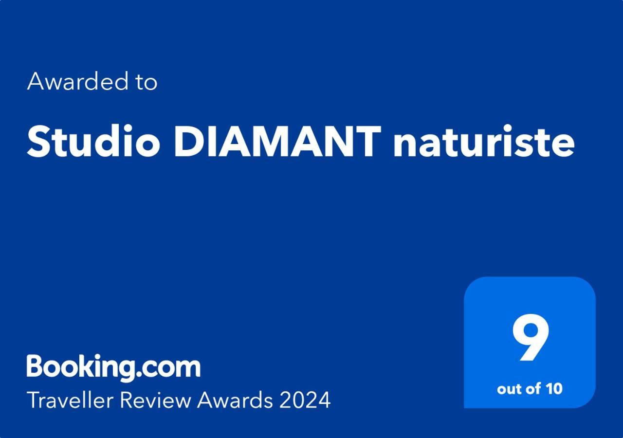 Studio Diamant Naturiste Agde Eksteriør billede